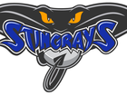 Stingrays